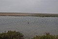 09 10 10_7979_edited-1